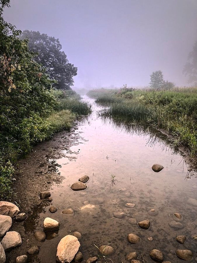 The Stream zdjęcie 1