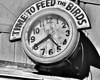 Time to Feed the Birds