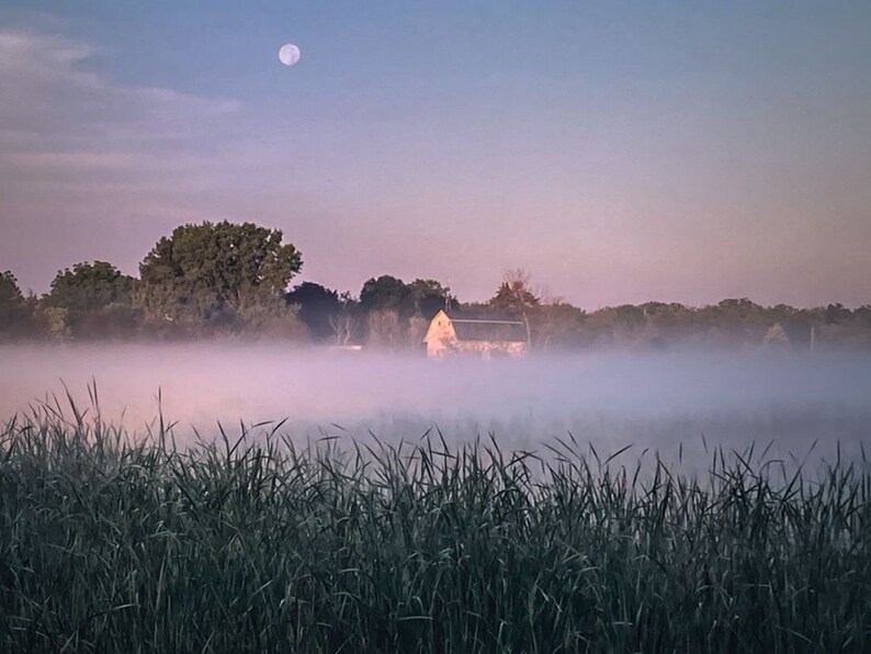 Distant Farm zdjęcie 1