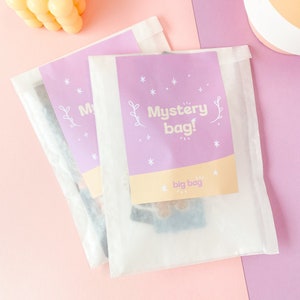 Mystery Bag / Lucky Surprise Stationary / Adesivi e nastro washi / Mystery bag per gli amanti della carta / Planner / Bujo / Bullit Journal Mystery Bag