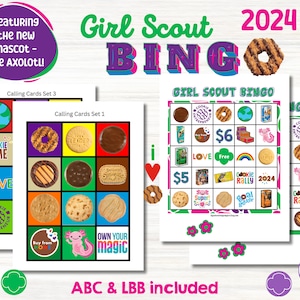 Badge Magic Girl Scout Junior To Ambassador Uniform Kit