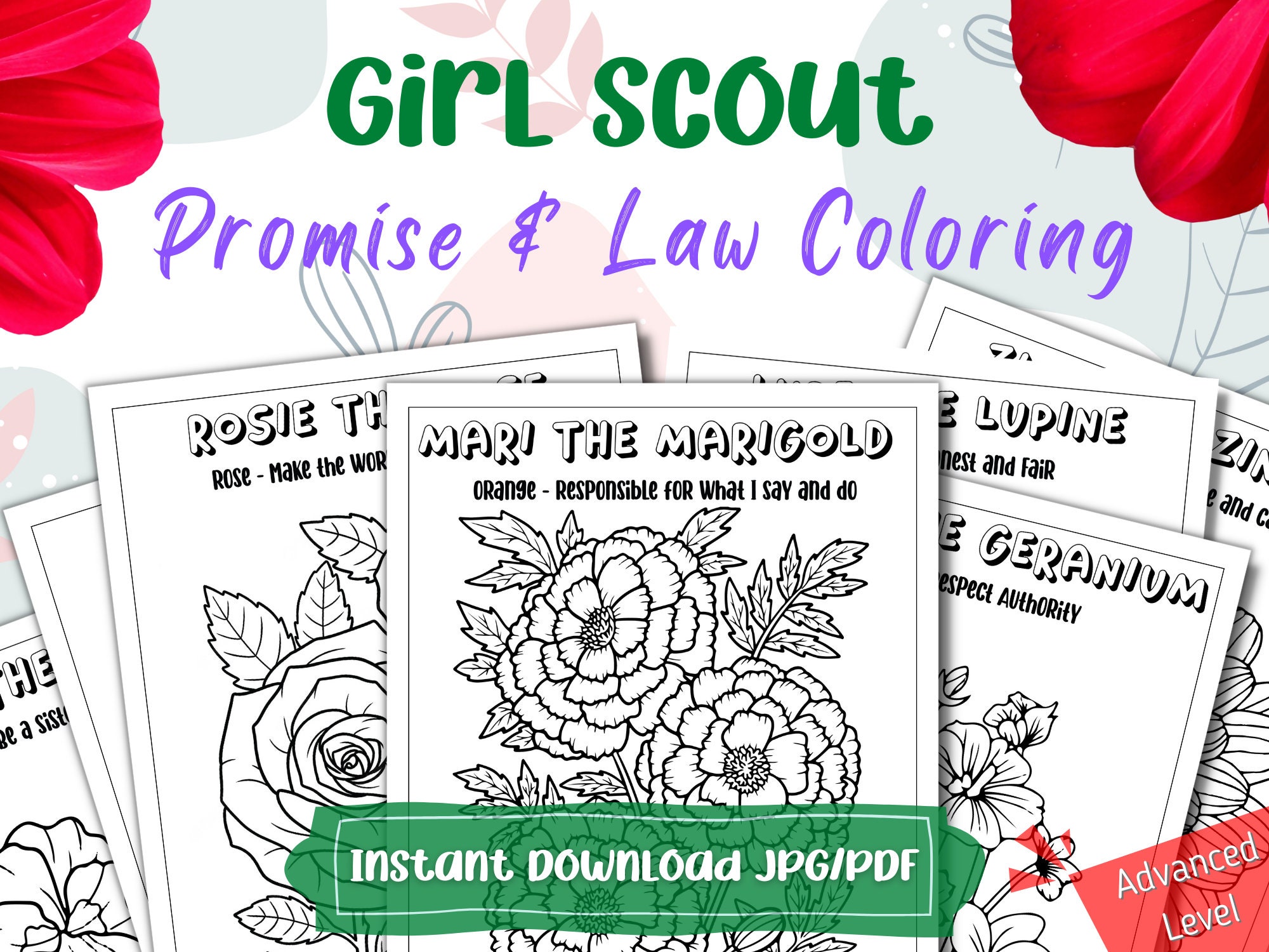 Girl Scout I'm a daisy Girl Scout, Song Lyric Poster, Letter Size, Digital  Download, Troop Leader, Troop Meeting, Handout, Activity