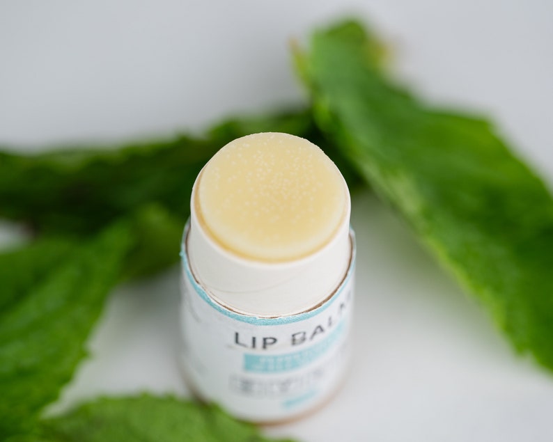 Natural Lip Balm Set, Vegan Chapstick, Lip Gloss Bundle, Accessories For Mom, Zero Waste Lip Balm, Shea Butter Lip Balm, Natural Lip Care image 3