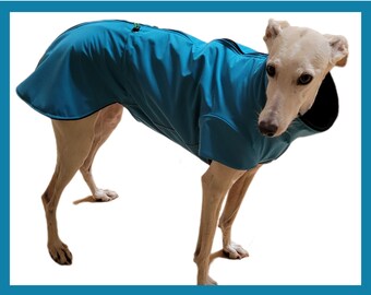 greyhound jacket