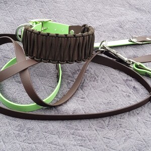 Windhund-Halsband + Hundeleine Biothane