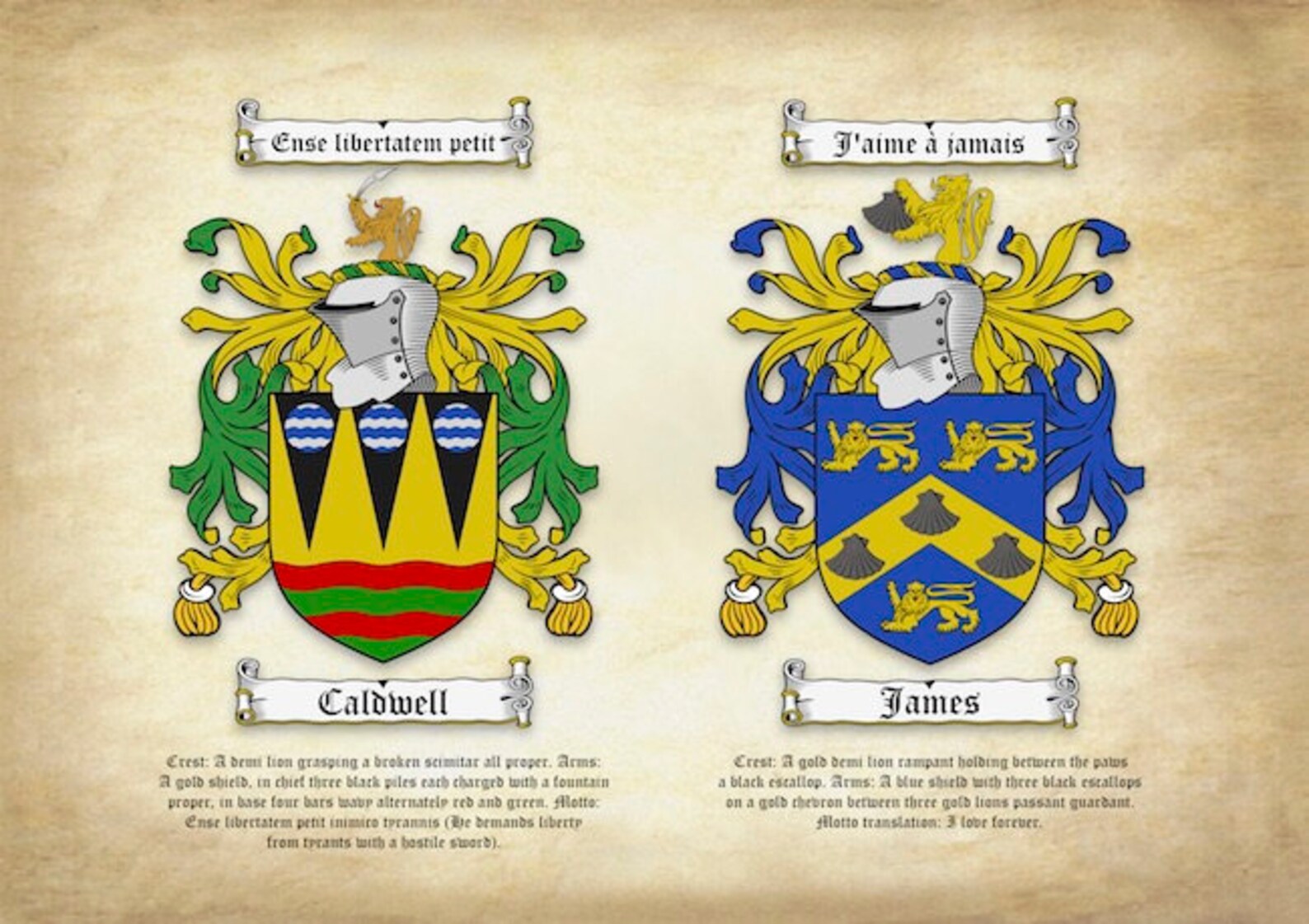 A4 Double Coats of Arms (family Crests) on A Parchment Background With ...