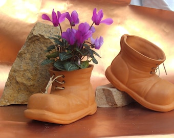 small shoe as a planter