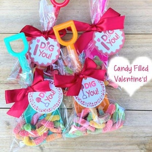 Valentine's Favors, Valentine's Exchange, Valentines Gifts for Kids, Personalized Valentines Favors, Classroom Favors, I Dig You