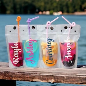 Adult Drink Pouches Personalized, Personalized Adult Beverage Pouch, Girls Trip, Beach Drinking Glasses, Pool Party Favors, Booze Bags