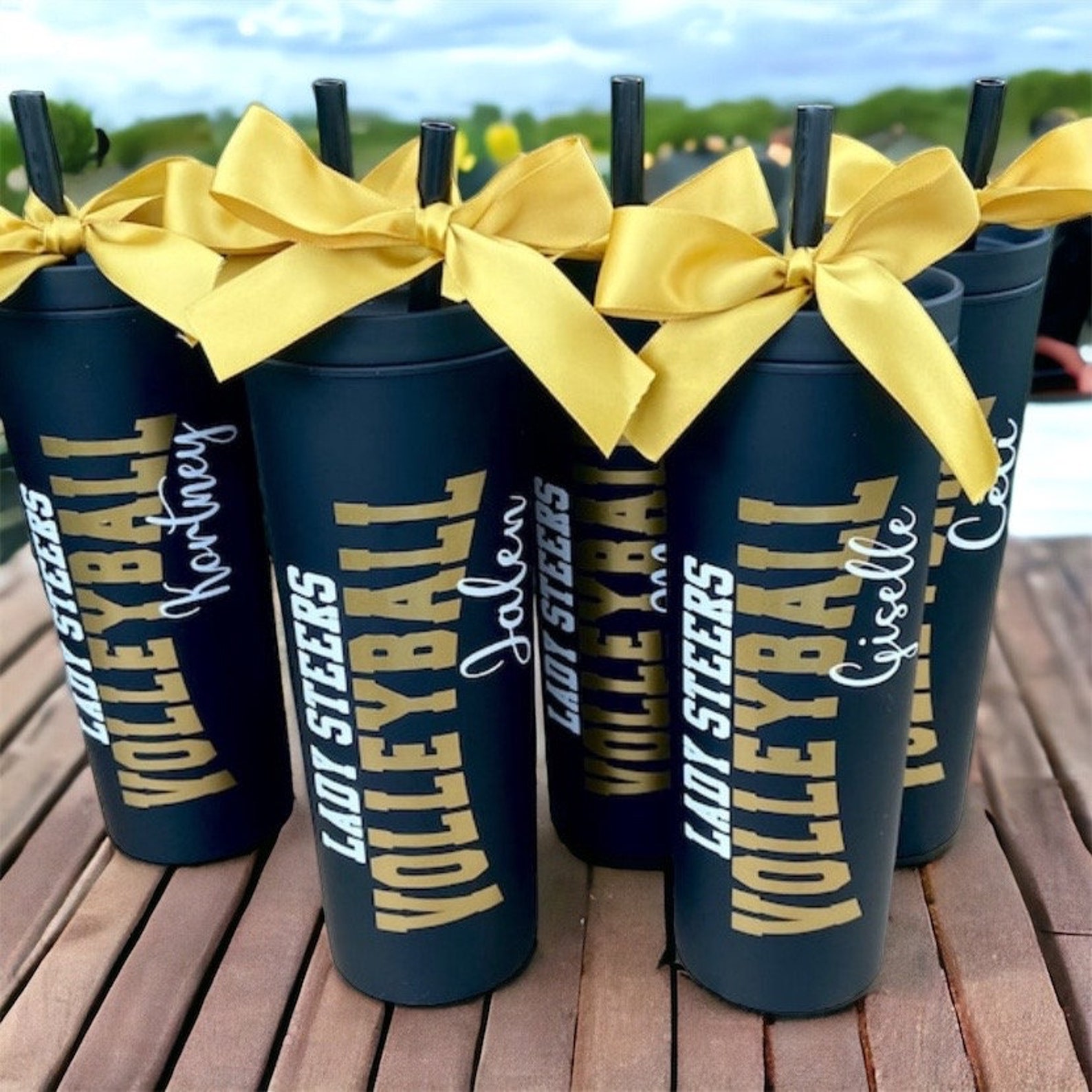 Volleyball Gifts Volleyball Team Gifts Volleyball Team Etsy