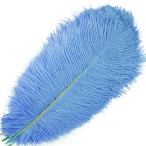 Beautiful Baby Blue  Ostrich Feathers x 5 pieces