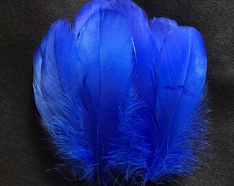 Belles plumes d'oie bleu royal x 10 pièces