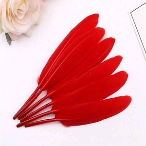 Puede incluir: Un grupo de plumas rojas dispuestas en forma de abanico, con las puntas de las plumas apuntando hacia la derecha.