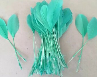 Beautiful Seafoam Green stripped Coque Feathers x 10 pieces