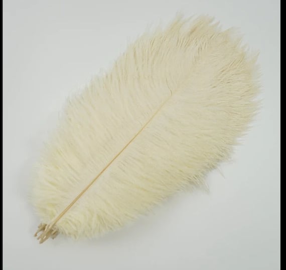 Beige ostrich feathers discount