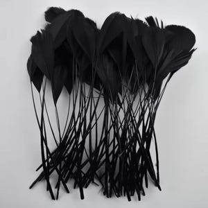 Op de afbeelding: Een verzameling zwarte veren met lange, dunne stelen. De veren zijn samengebracht, met de uiteinden van de stelen die uitwaaieren. De veren hebben een zacht, getextureerd uiterlijk en zijn diepzwart van kleur.