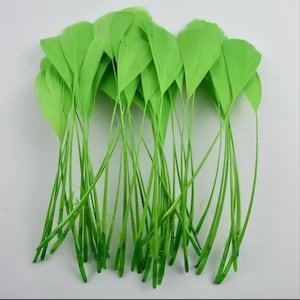 May include: A collection of bright green feathers with long, thin stems. The feathers have a rounded, leaf-like shape and are arranged in a loose bundle. The stems are a darker shade of green, creating a contrast with the lighter green feathers.