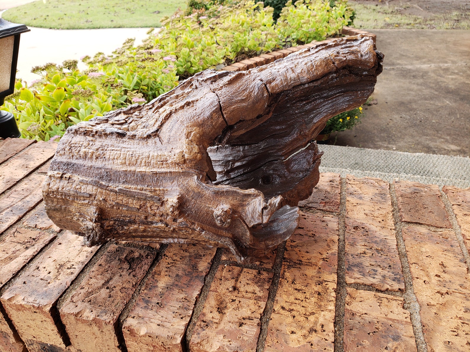 Hedge Apple osage Orange Natural Wood Wine Rack Etsy