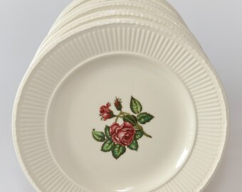 1950er Jahre Set 6 Salat/Dessertteller MOSS ROSE Wedgwood England