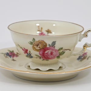 1930s AVIGNON Tea / Coffee Cup and Saucer Pirkenhammer Bohemia