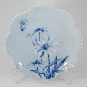 1900s MONBIJOU Porcelain Plate Rosenthal Bavaria