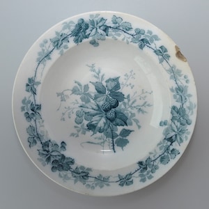 Può includere: Un piatto in ceramica bianca con un motivo floreale blu e bianco. Il piatto presenta un bordo di viti e foglie di more, con un gruppo di more più grande al centro.