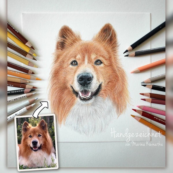 Hundeportrait nach Foto malen lassen als Buntstiftzeichnung