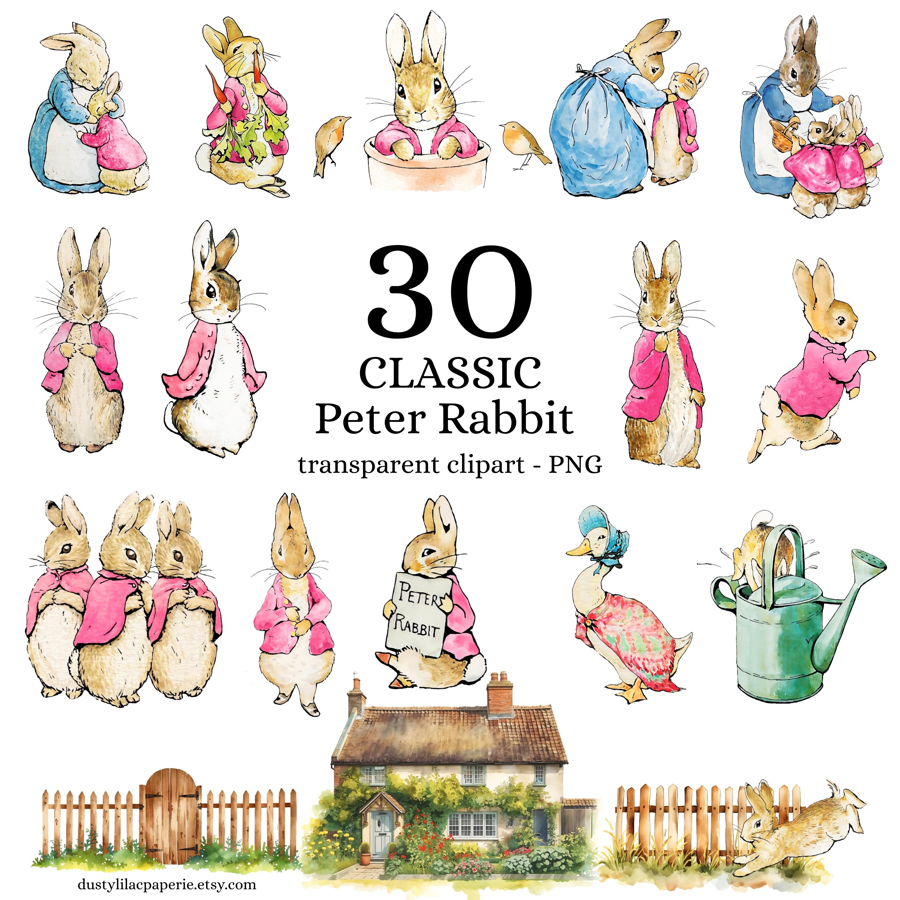 Peter Rabbit Pink R Classic Pink Peter Rabbit and Friends Clipart, Digital 30 Bundle Clip ...