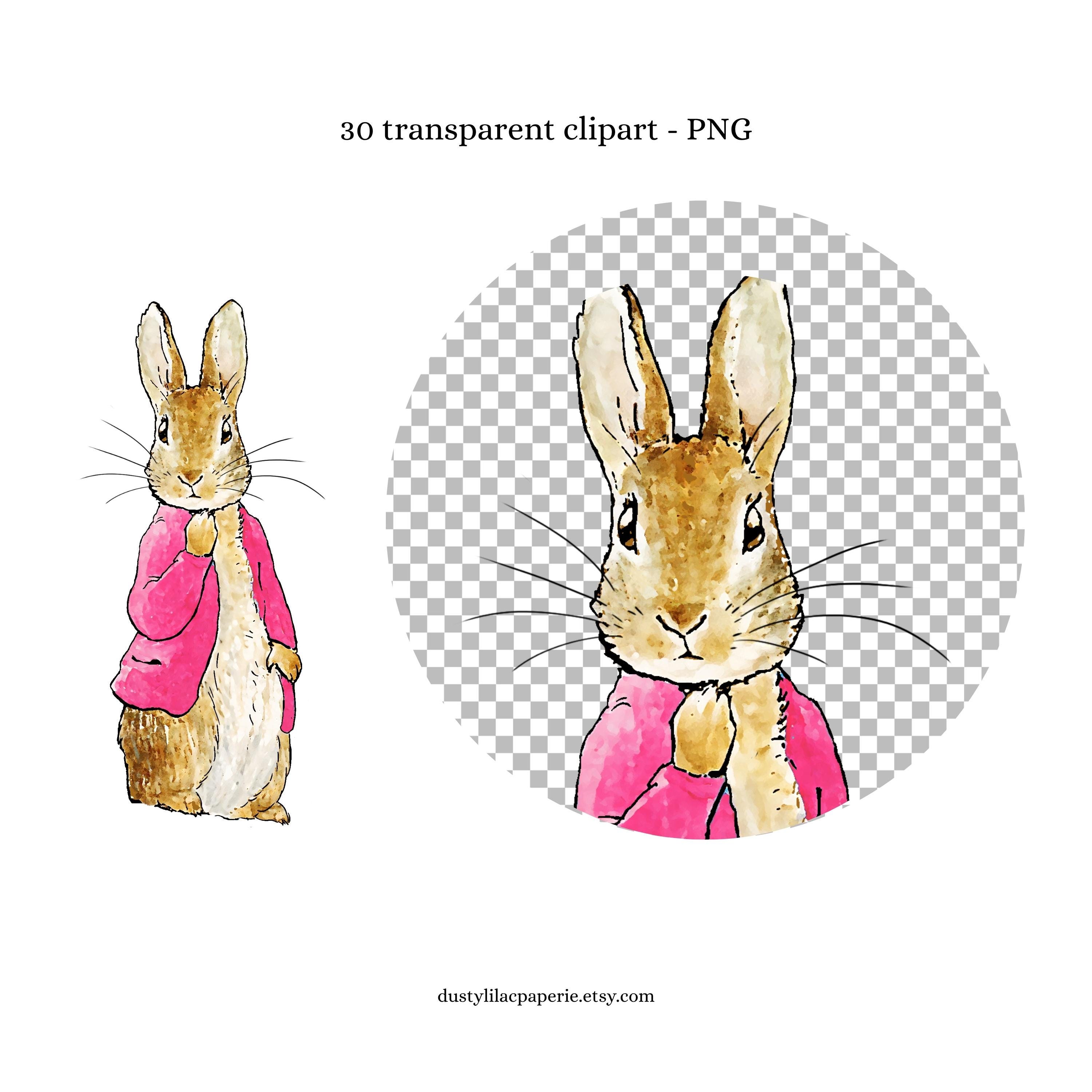 Pink Peter Rabbitr Classic Pink Peter Rabbit and Friends Clipart, Digital 30 Bundle Clip ...