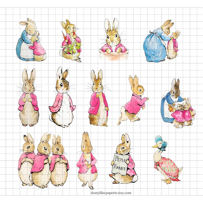 Peter Rabbit Pink R Classic Pink Peter Rabbit and Friends Clipart, Digital 30 Bundle Clip ...