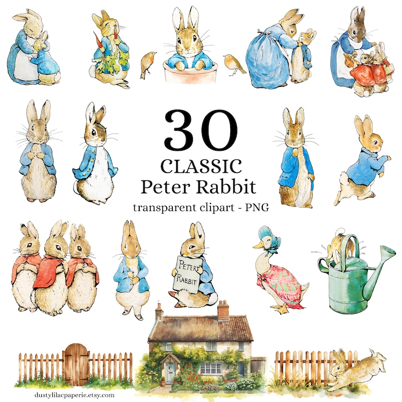 Cute Rabbit Birthday Card - Etsy