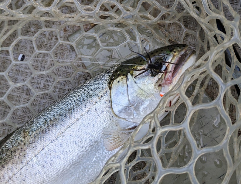 Trout Spider Rig - Ready to Fish - Etsy