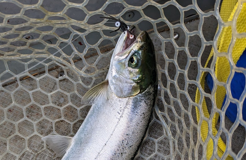 Trout Spider Rig - Ready to Fish - Etsy