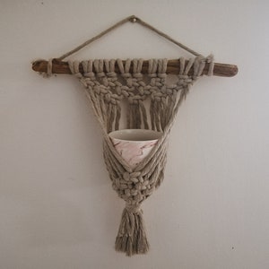 Driftwood Plant Hanger For Wall