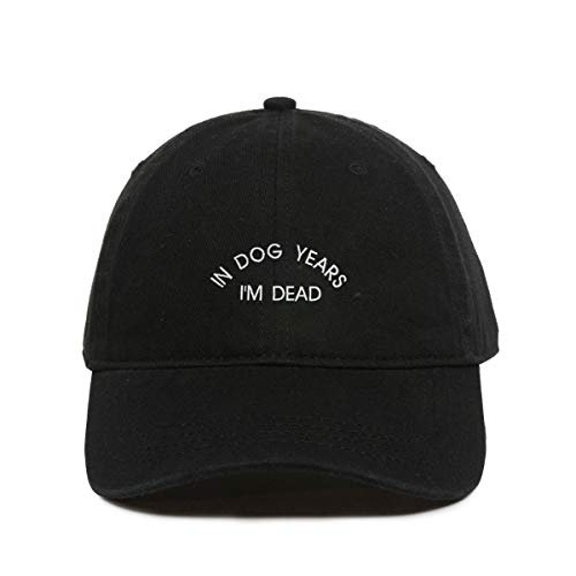 In Dog Years I'm Dead Funny Baseball Cap Embroidered Etsy