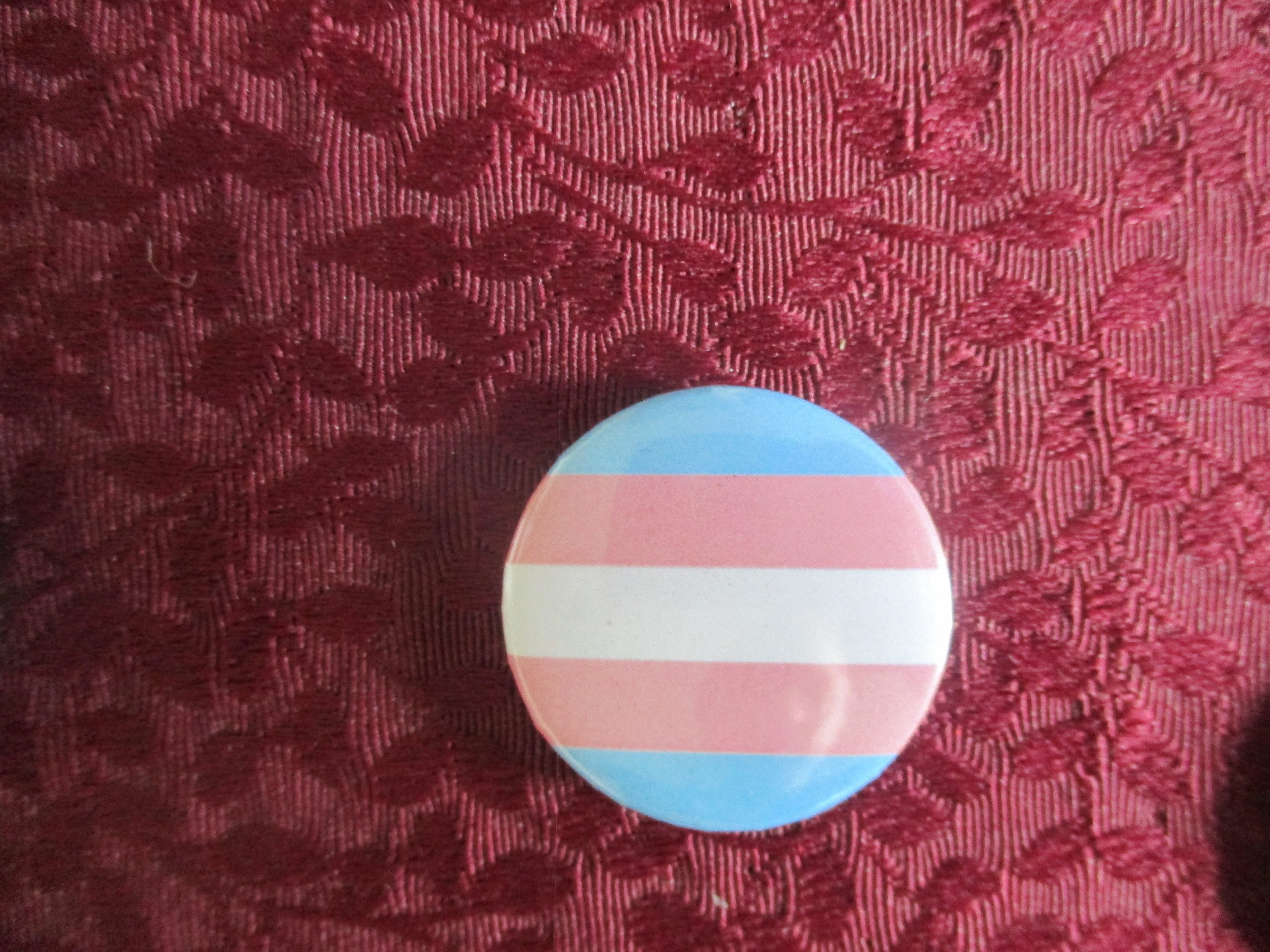 LGBT Asexual Bisexual Pansexual Transgender Non Binary Gay LGBT Asexual Bisexual Pansexual Transgender Non Binary Gay