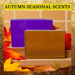 Shave Soap: Autumn Scent Choice - Botanical Shaving Bar, Lathering Moisturizing Soap, Men&#39;s Gift
