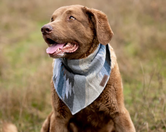 Dog Bandana | LAKESIDE