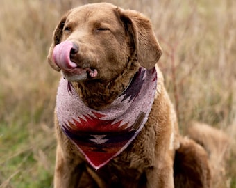 Dog Bandana | SUNSET