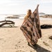 see more listings in the Tofino Beach Blankets section
