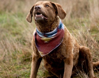 Dog Bandana | WANDERER