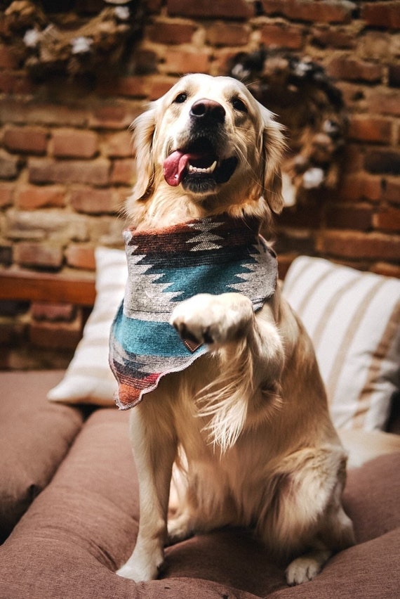 Foulard Chien Dog Bandanas With Adjust Buckle Adjustable Pet Puppy