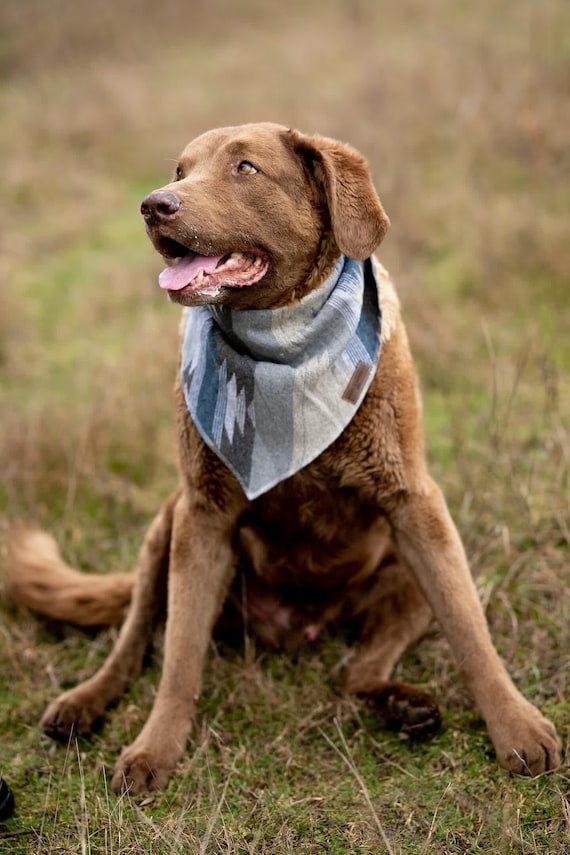 Dog Bandana LAKESIDE Southwest Navajo Aztec Western Geometric Tie on Pet Bandana upcycled Etsy