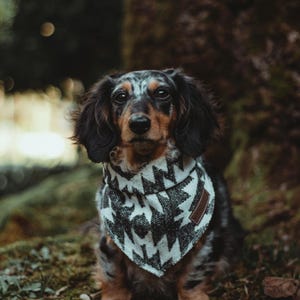 Dog Bandana | ISLA - Southwest - Navajo - Aztec - Tie On - Pet Bandana -Upcycled - Boho