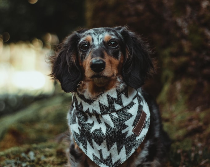 Dog Bandana - ISLA