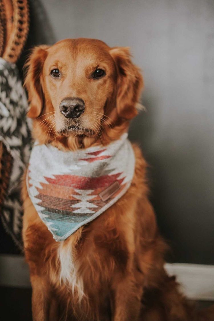 Dog Bandana THE TRAVELLER