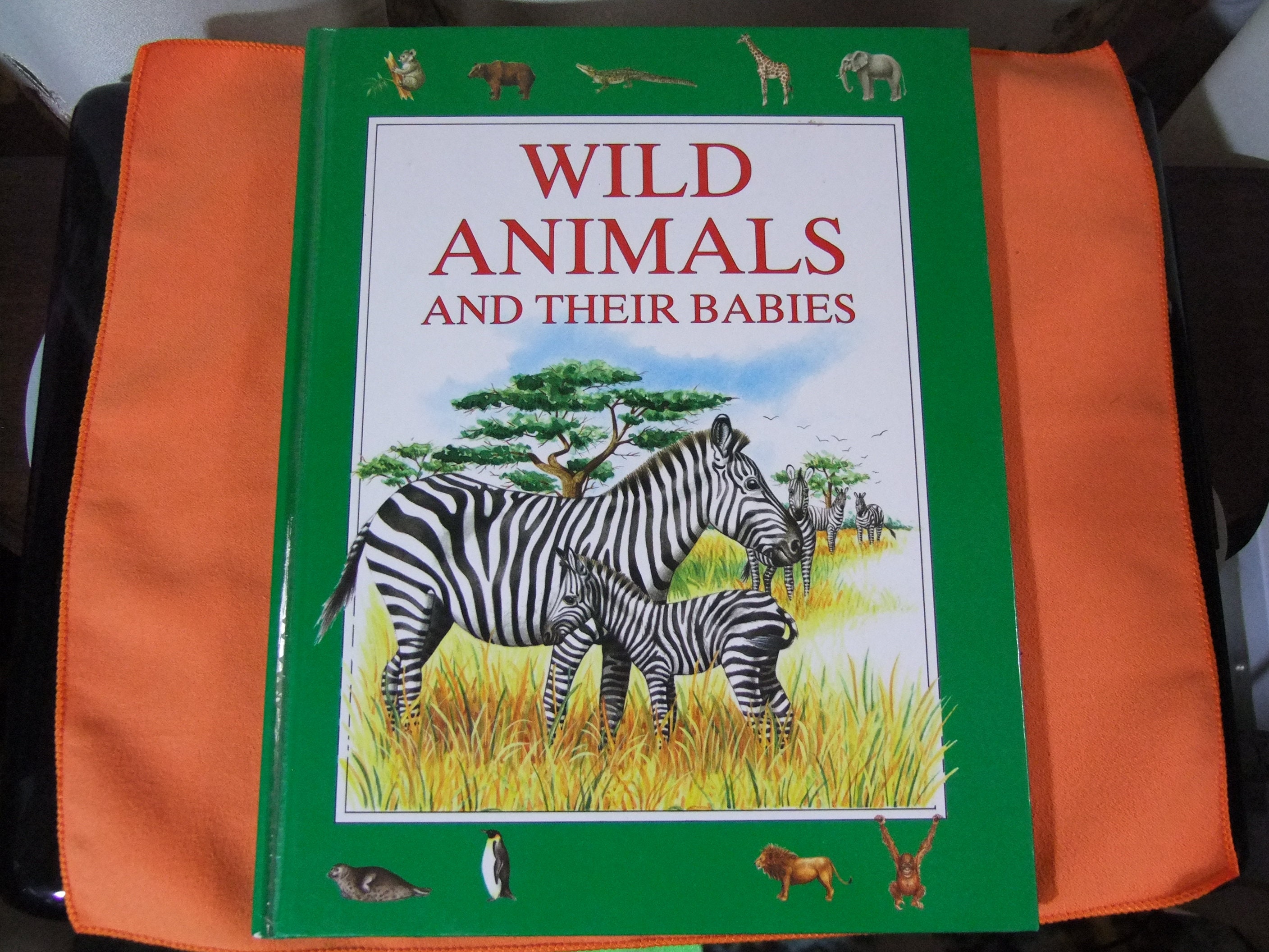 Wild Animals and Their Babies Vintage Book Brown Watson - Etsy Wild Animals and Their Babies Vintage Book Brown Watson - Etsy