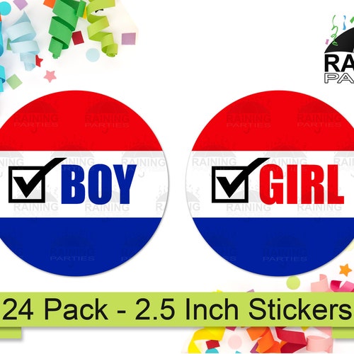 He or She Fireworks Gender Reveal Party Stickers 24 Pack - Etsy