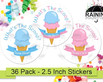 What's the Scoop Ice Cream Twins Gender Reveal Party Stickers (36 Pack) 2.5" Circle Round Labels Baby Shower Party Favors, Boys Girls Both