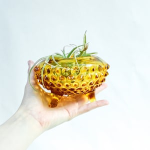 Vintage Mid Century Orange Glass Planter Pot Bumpy Home Decor Decoration 1970s 70s Boho Bohemian Pottery Glassware Succulent Indoor Outdoor